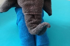 52893213_1270327713120145_3286344829839081472_o