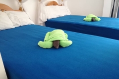 52973988_1270327609786822_1662903842569715712_o