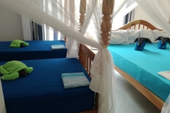 53399747_1270327576453492_1778695237451907072_o