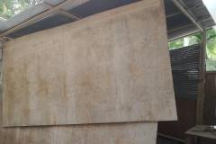 53742537_1278452462307670_6314088742483132416_n