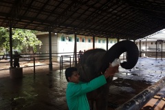 INTERESTING PLACES ON SRI LANKA