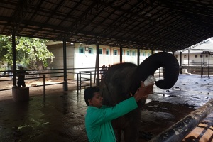 INTERESTING PLACES ON SRI LANKA