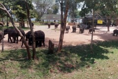 IMG_20150308_121656-PANO