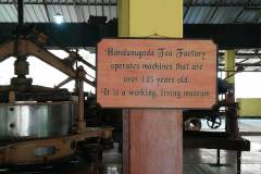 received_2212393155754308