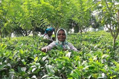 received_2454090704662365