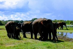 20180512_143312-EFFECTS