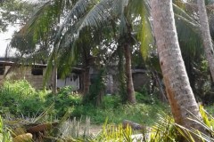 received_10210620337009581