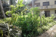 received_10210620337649597