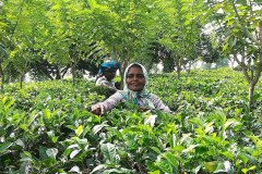 received_2454090704662365